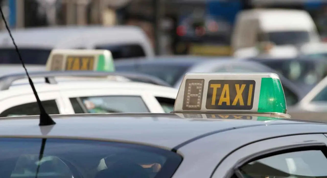 amortizacion compra licencia taxi - Cuáles son los bienes que se amortizan