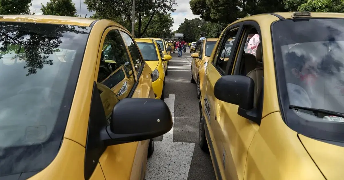 mexicanas en colombia taxi quienes son - Cuántos días puede trabajar un taxi en Bogotá